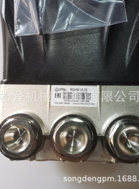 意大利进口 AR 艾热 高压泵RGHW30.25 柱塞泵