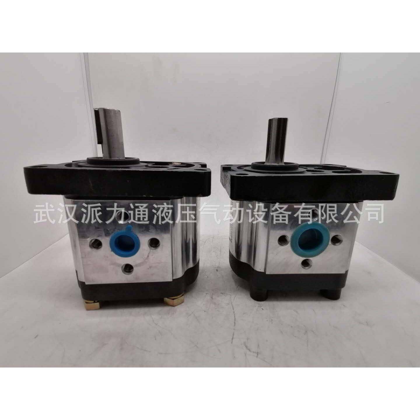 上海SDH液压齿轮泵CBTt-F310F3P7CBTt-F304F3P7CBTt-F316F3P7325