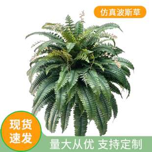 仿真波斯草人造蕨草客厅室内植物角装饰摆件蕨类绿植假波草盆栽