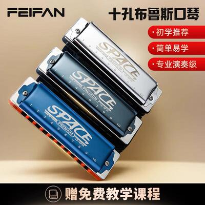 FEIFAN飞繁十孔C调布鲁斯口琴SP20初学者入门成人专业蓝调乐器