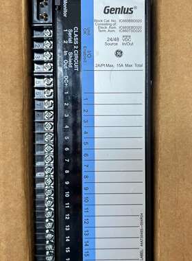 维修全新 GE 模块 IC660EBD025W1 现货一个 实议价