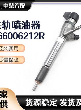 燃油总成166006212R柴油发动机零部件166006212R西门喷油器子
