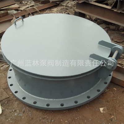 双瓣节能拍门 河道河涌水止回水拍门 排水拍门