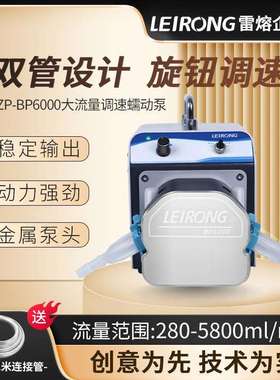 雷熔实验室微型灌装抽水可调速双通道蠕动泵6000ml/min自吸循环泵