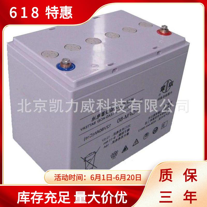 双登蓄电池6-GFM-100铅酸12V100AH免维护UPS电源直流屏机房发电厂