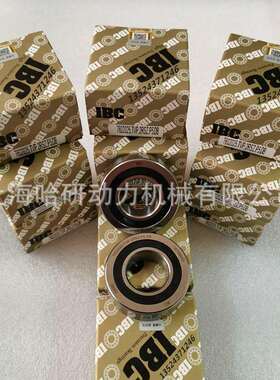 德国IBC原装7602025.TVP.2RSZ.P5.DB 7602025.TVP.2RSZ.P4.UL轴承