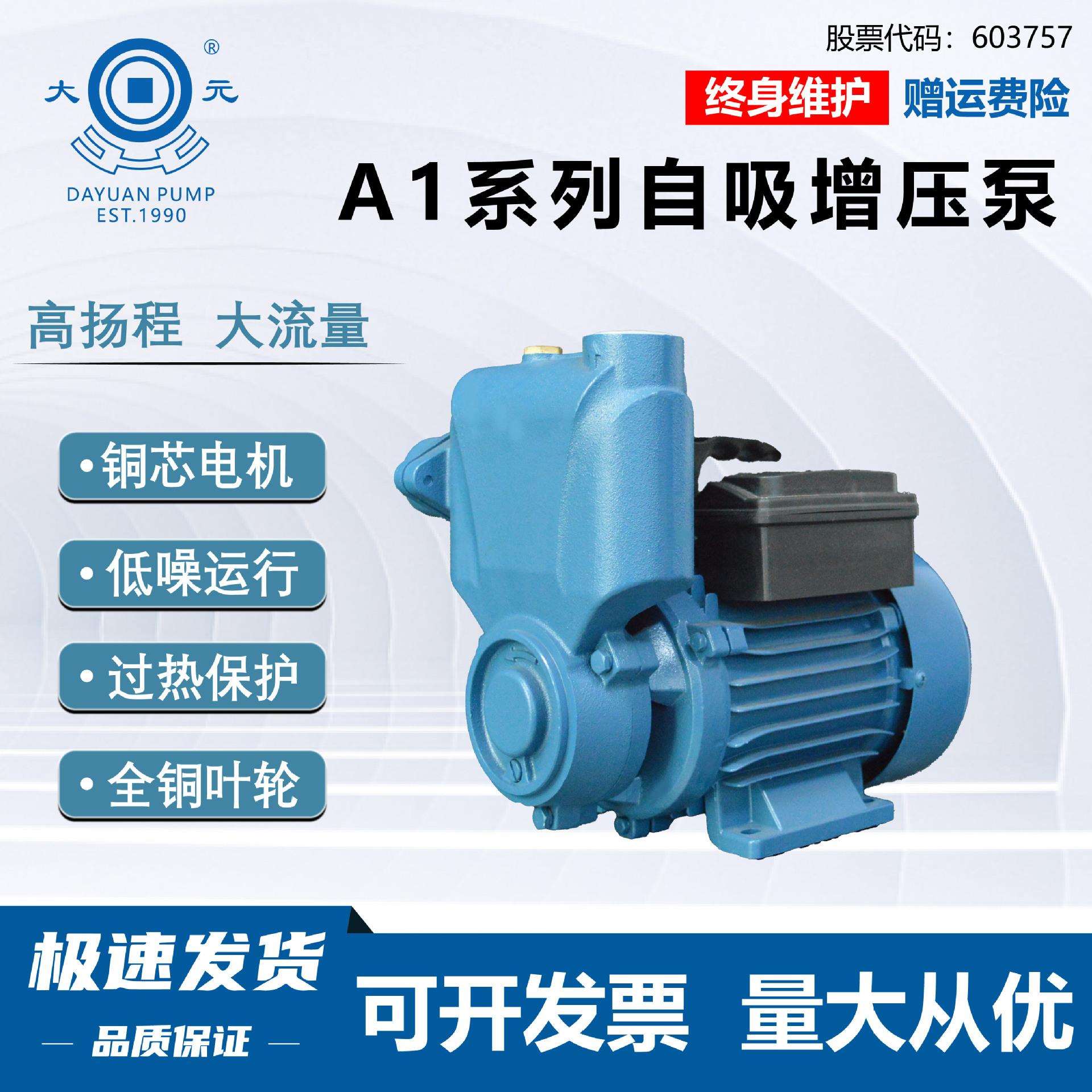 大元自吸泵家用管道自来水增压泵小型抽水泵220v抽水机大功率