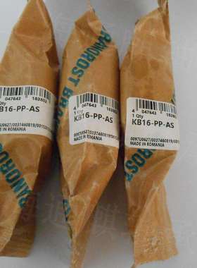 INA直线球KB16-PP-AS轴承KB1636P/PP/PPAS 带再润滑设施