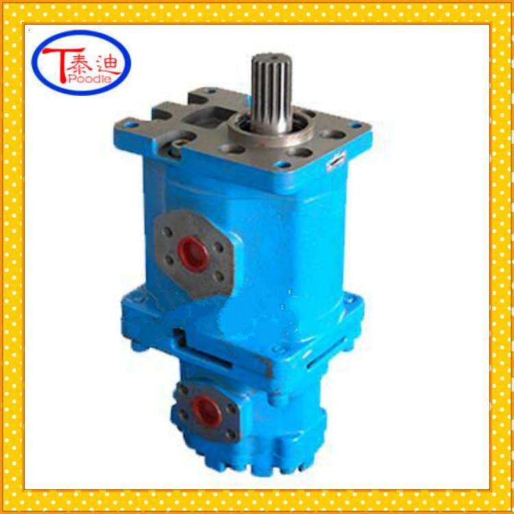 CBY3050/K1010-A2FR双联齿轮泵 鑫通履带式斜坡用扒渣机双联泵