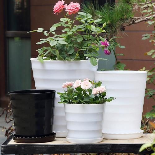 超特大号螺纹花盆白色黑色仿陶瓷塑料花盆发财树盆景植物塑料盆