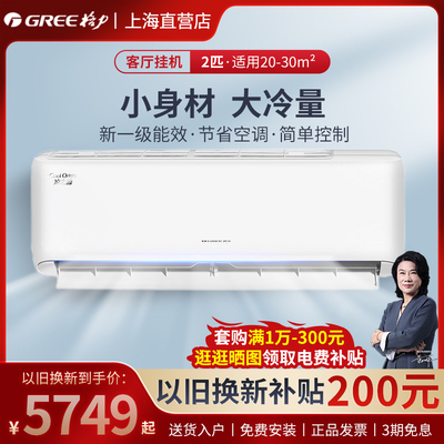 格力空调 凉之源变频冷暖大挂机2匹3匹新一级能效