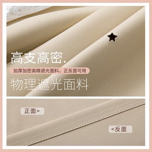 网红公主风蕾丝ins客厅挂钩式 卧室少女遮光窗帘2021年新款 遮阳布