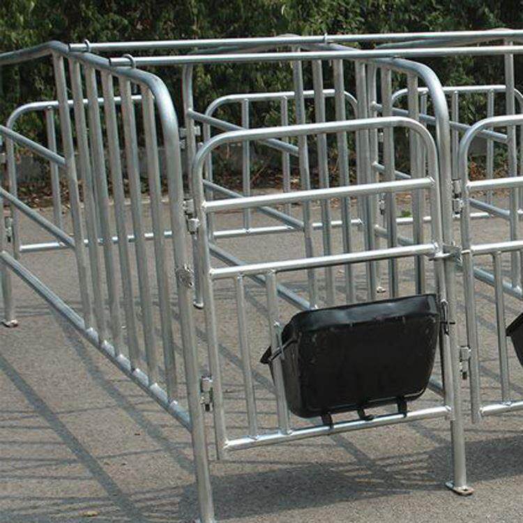 养猪设备 母猪定位栏 热镀锌材质猪用限位栏 养殖用圈栏