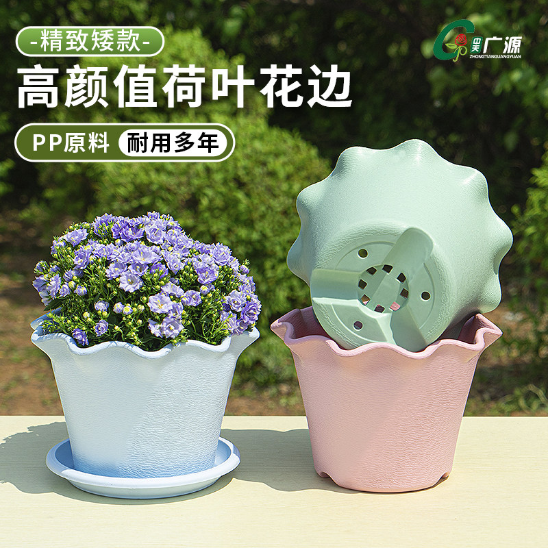 彩色矮款荷叶边花盆仿陶加厚塑料耐用阳台多肉绿植高颜值树脂花盆,鲜花速递/花卉仿真/绿植园艺,花盆,淘宝优惠券,粉丝福利购,淘宝优惠卷