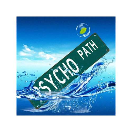 海外仓TEMU跨境Tin Sign Crazy Path 4x16 Inches 10x40cm