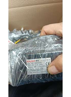 Raynen睿能伺服电机400W～400W￥300