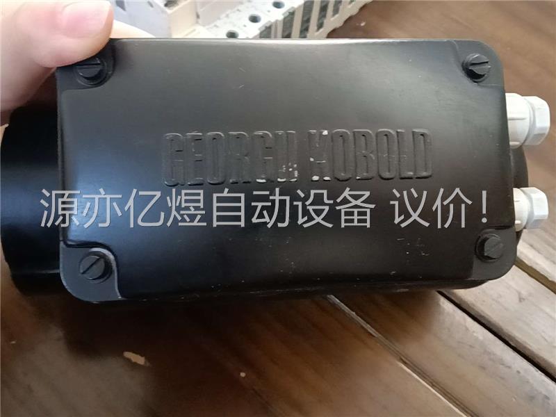 GEORGII KOBOLD伺服电机！(议价)
