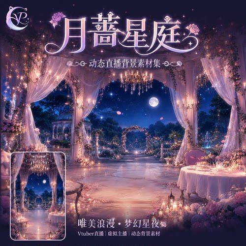月蔷星庭动态直播背景UI框