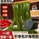 烘干压缩海带丝干货免洗海带苗小包装 火锅凉拌干海带新鲜蔬菜小鱼