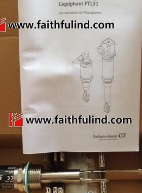 议价E+H FTL31-AA4M2BAWDJ+Z1 恩德斯豪斯全新音叉液位传感器 FTL