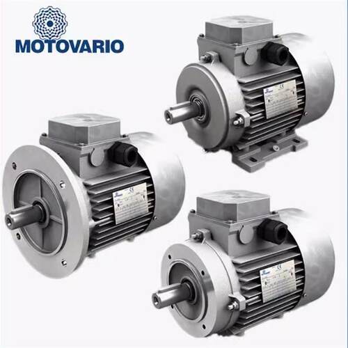议价意大利MOTOVARIO电机T112M4 B14 4KW 意大利摩多利三相异步电
