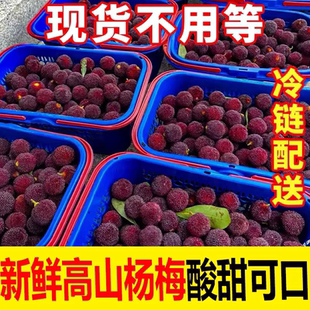 【现摘现货】贵州杨梅鲜果孕妇水果酸甜泡酒小杨梅一整箱冷链包邮