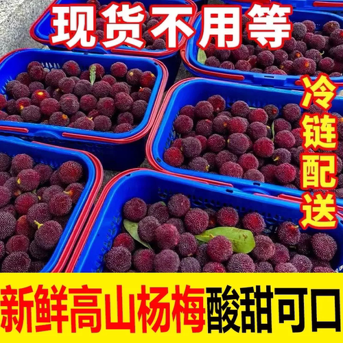 2024贵州新鲜杨梅果当季现