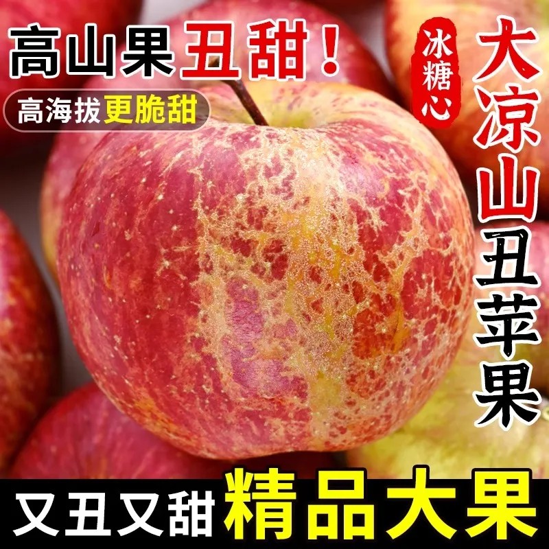 【产地直发】2026正宗四川大凉山丑苹果盐源冰糖心当季新鲜水果