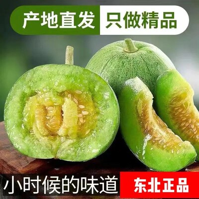 正宗甜瓜脆瓜现摘包邮 绿宝石甜瓜农家自种水果东北水果批发整箱