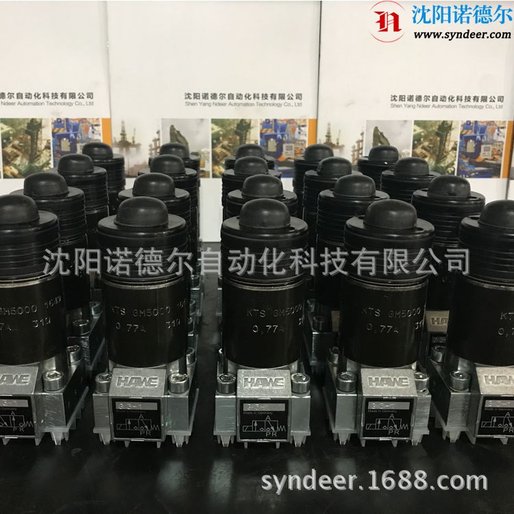 HAWE哈威电磁阀风电备货GZ3-1-G24升级型号GZ3-12-GM24