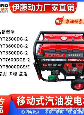 伊藤单相小型汽油发电机220家用2kw3kw5kw6kw7kw8千瓦YT7600DCE-2