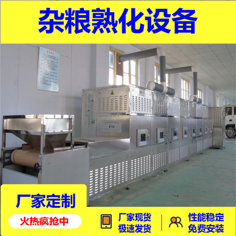 隧道式微波熟化杀菌烘焙机