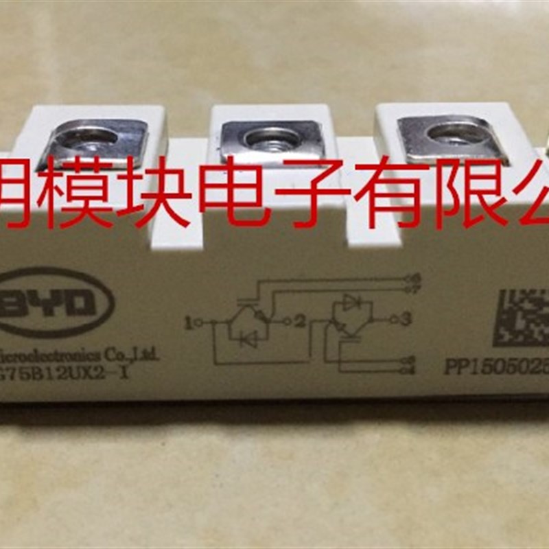 BG100B12LX2-I BG75B12UX2-I BG200B12LX2R-I BG150B120LX 包上机