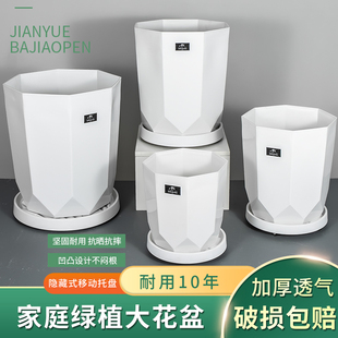 高档加厚室内大型绿植天堂鸟花盆树脂大号散尾葵塑料客厅办公室盆