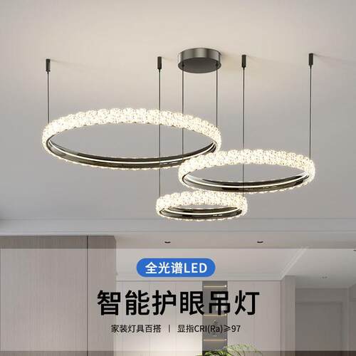 2025新款客厅主灯意式极简极简圆环吊灯大气led灯具全屋套餐组合