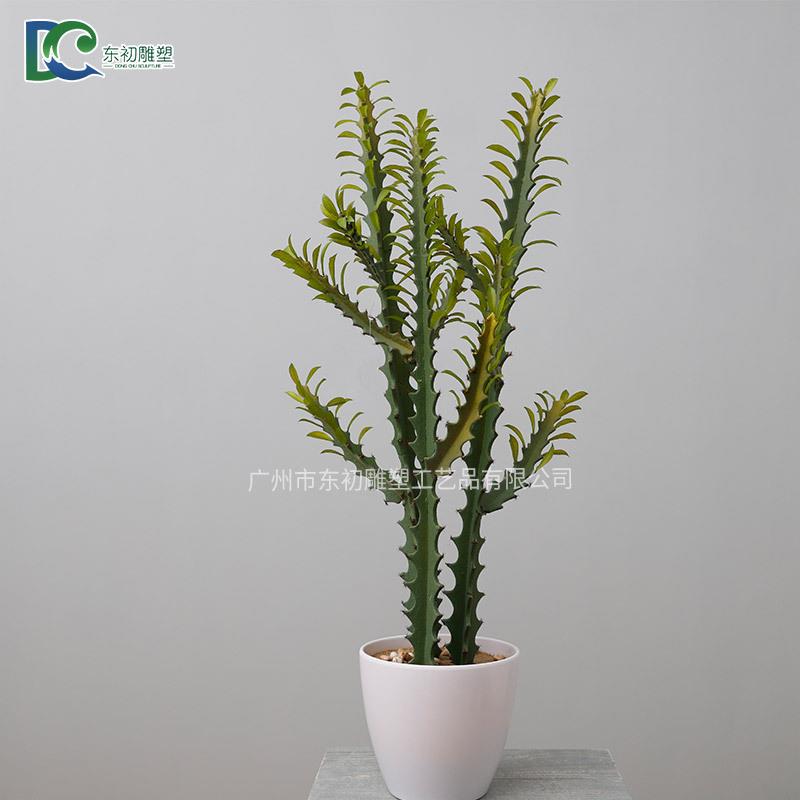 仿真植物仙人掌盆栽 室内客厅绿植摆件 北欧家居装饰品 盆景摆设
