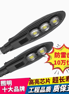 led路灯头宝剑100W50W市政户外防水220V市电新农村照明高杆道路灯