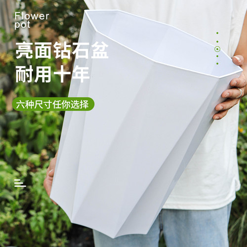 家用龟背竹花盆特大号花盆