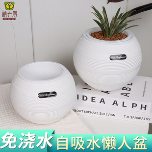 北欧简约螺纹圆球形懒人自吸水花盆家用创意高级绿萝多肉绿植盆栽