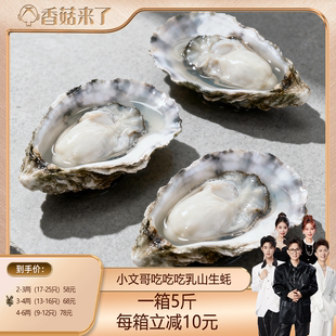 乳山生蚝贝类海鲜活牡蛎海蛎子烧烤特大肥整箱5斤 香菇来了