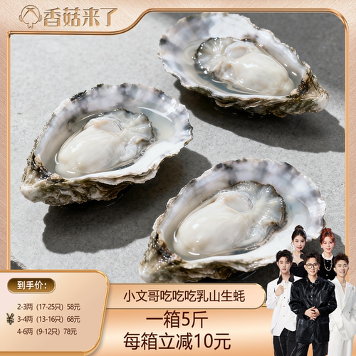 [香菇来了]乳山生蚝贝类海鲜活牡蛎海蛎子烧烤特大肥整箱5斤
