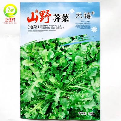 纯野生荠荠菜种子特菜野菜种苗农家老品种山野蔬菜种籽子荠菜种孑