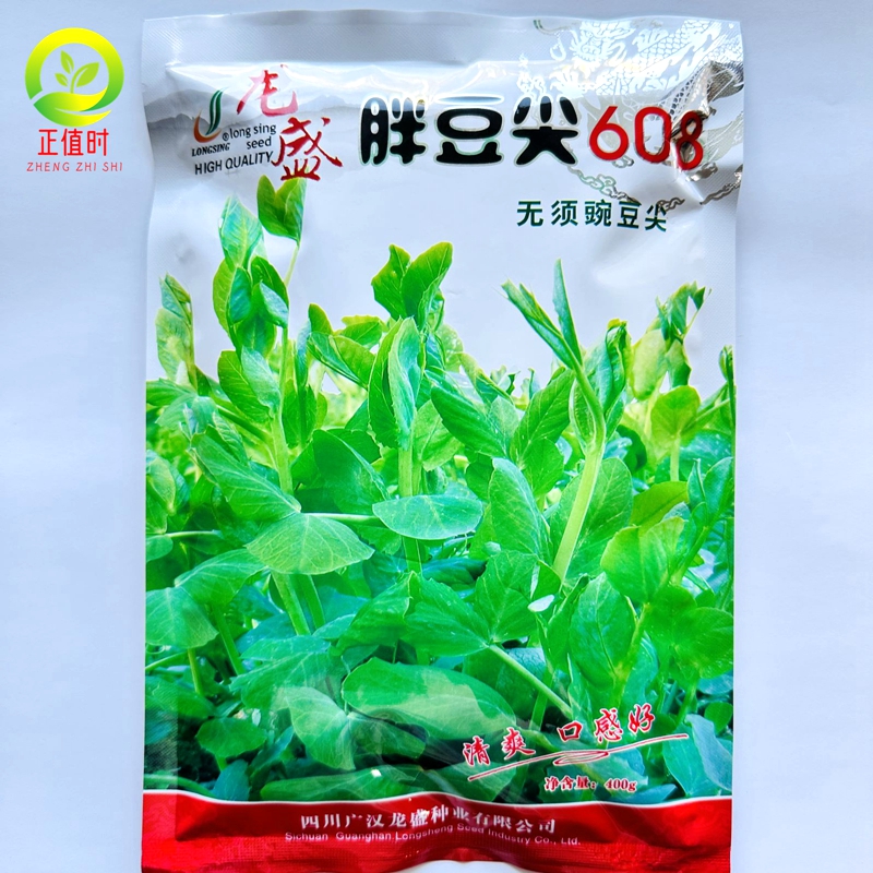 胖豆尖豌豆种籽粗胖豌豆苗尖四季蔬菜种子别名龙须苗菜荷兰豆苗孑