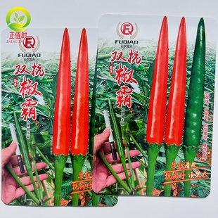 双抗椒霸泰国引进单生大果朝天椒种子高产耐热精品青红两用朝天椒