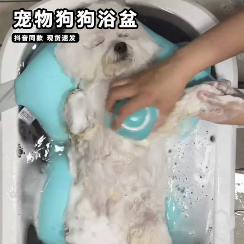 宠物洗澡盆小狗狗子浴盆专用可折叠博美泰迪比熊小型犬猫咪洗脚盆