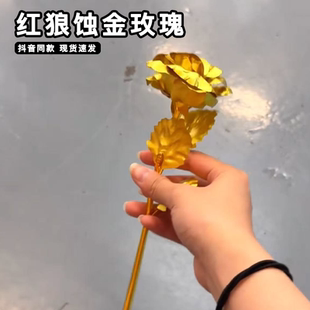 红狼蚀金玫瑰三角洲行动周边24k外骨骼模型裸花来DIY金箔玫瑰花