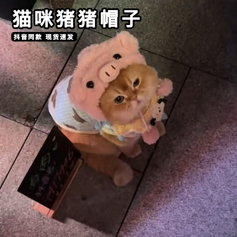 猫咪猪猪帽子可爱小猪咪宠物猫狗狗毛绒头套耳朵可立小型犬头饰