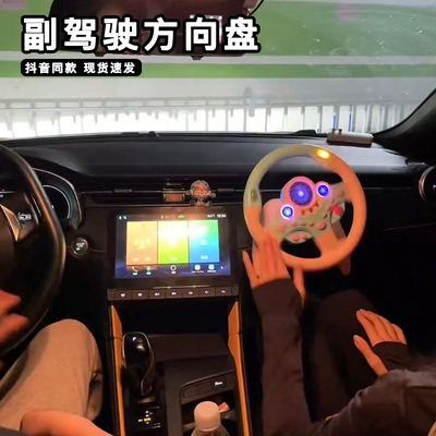 副驾驶方向盘玩具仿真模拟汽车可拆卸驾驶盘女朋友专属座防晕车