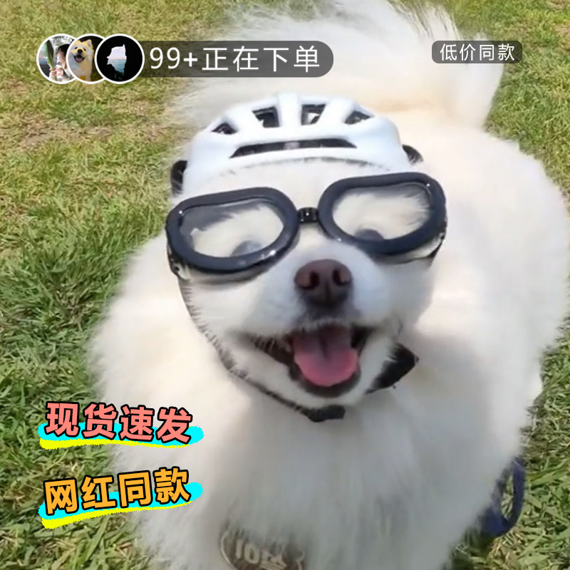 宠物小狗狗猫咪骑行眼镜太阳镜摩托车拉风帅气墨镜遛狗兜风神器