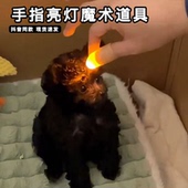 魔术手指灯创意魔法指套玩具手摘星星惊喜感舞台近景网红魔术道具